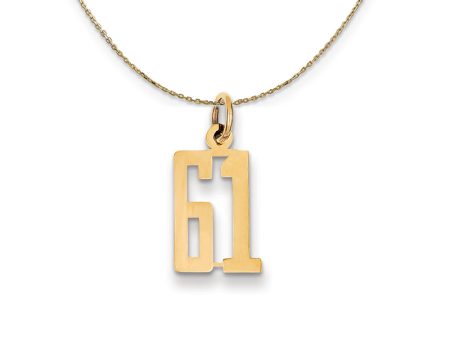 14k Yellow Gold, Alumni Small Elongated Number 61 Necklace Online