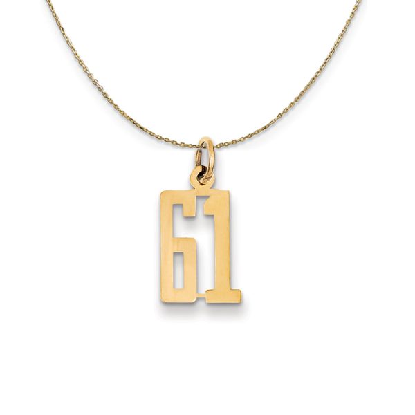 14k Yellow Gold, Alumni Small Elongated Number 61 Necklace Online